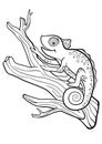 Coloring pages. Wild animals. Little cute chameleon sits on the