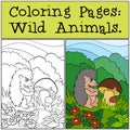 Coloring Pages: Wild Animals. Little cute hedgehog.