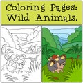 Coloring Pages: Wild Animals. Little cute hedgehog .