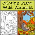 Coloring Pages: Wild Animals. Little cute hedgehog.