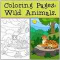 Coloring Pages: Wild Animals. Little cute jaguar in the forest.