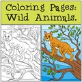 Coloring Pages: Wild Animals. Little cute lynx.
