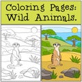 Coloring Pages: Wild Animals. Little cute meerkat smiles.