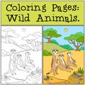 Coloring Pages: Wild Animals. Little cute meerkat smiles.