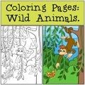 Coloring Pages: Wild Animals. Little cute monkey. Royalty Free Stock Photo