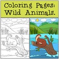 Coloring Pages: Wild Animals. Little cute otter