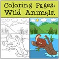 Coloring Pages: Wild Animals. Little cute otter smiles