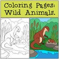 Coloring Pages: Wild Animals. Little cute otter smiles