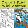 Coloring Pages: Wild Animals. Little cute panda. Royalty Free Stock Photo