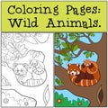 Coloring Pages: Wild Animals. Little cute red panda smiles Royalty Free Stock Photo