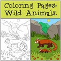 Coloring Pages: Wild Animals. Little cute red panda smiles Royalty Free Stock Photo