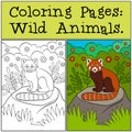 Coloring Pages: Wild Animals. Little cute red panda smiles Royalty Free Stock Photo