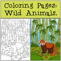 Coloring Pages: Wild Animals. Little cute red panda smiles Royalty Free Stock Photo