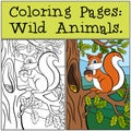 Coloring Pages: Wild Animals. Little cute squirrel .