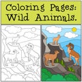 Coloring Pages: Wild Animals. Mother, father and baby urial