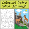 Coloring Pages: Wild Animals. Mother, father and baby urial