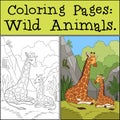 Coloring Pages: Wild Animals. Mother giraffe lays with her little cute baby giraffe. They smile Royalty Free Stock Photo