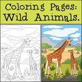 Coloring Pages: Wild Animals. Mother giraffe stands with her little cute baby giraffe. They smile Royalty Free Stock Photo