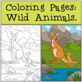 Coloring Pages: Wild Animals. Mother kangaroo with baby. Royalty Free Stock Photo