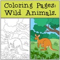 Coloring Pages: Wild Animals. Mother kangaroo with baby. Royalty Free Stock Photo