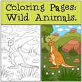 Coloring Pages: Wild Animals. Mother kangaroo with baby. Royalty Free Stock Photo