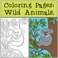 Coloring Pages: Wild Animals. Mother koala with her cute baby. Royalty Free Stock Photo