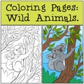 Coloring Pages: Wild Animals. Mother koala with her cute baby. Royalty Free Stock Photo