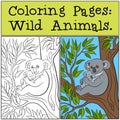 Coloring Pages: Wild Animals. Mother koala with her cute baby. Royalty Free Stock Photo