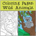 Coloring Pages: Wild Animals. Mother koala with her cute baby. Royalty Free Stock Photo