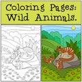 Coloring Pages: Wild Animals. Mother numbat with her babies