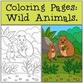 Coloring Pages: Wild Animals. Mother quokka with baby Royalty Free Stock Photo