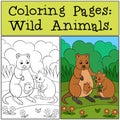 Coloring Pages: Wild Animals. Mother quokka with her babies Royalty Free Stock Photo