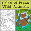 Coloring Pages: Wild Animals. Mother sloth and her cute baby