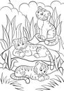 Coloring pages. Wild animals. Three little cute baby tigers.