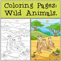 Coloring Pages: Wild Animals. Three little cute meerkats smile.