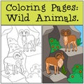 Coloring Pages: Wild Animals. Two beautiful urials on the mountain