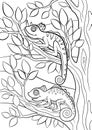 Coloring pages. Wild animals. Two little cute chameleons.