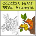 Coloring Pages: Wild Animals. Two little cute chameleons.