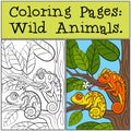 Coloring Pages: Wild Animals. Two little cute chameleons.