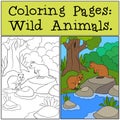 Coloring Pages: Wild Animals. Two quokkas in the forest Royalty Free Stock Photo