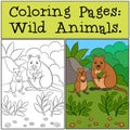 Coloring Pages: Wild Animals. Two quokkas in the forest Royalty Free Stock Photo