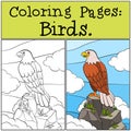 Coloring Pages: Wild Birds. Cute bold eagle sits on the rock and Royalty Free Stock Photo