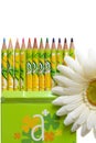 Coloring pencils and flower Royalty Free Stock Photo