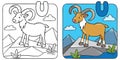 Coloring picture of funny urial. Alphabet U