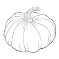 Pumpkin is a real vegetable vegetarian. vector illustration