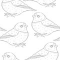 seamless pattern bird green organist Tanager family. vector illustration