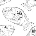 Coloring seamless pattern Chlorurus bleekeri is Fish parrot. ve