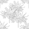 Coloring seamless pattern Fritillaria imperialis flower paradis