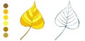 Coloring sheet with yellow autumn aspen leaf