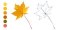 Coloring sheet with yellow autumn maple leaf